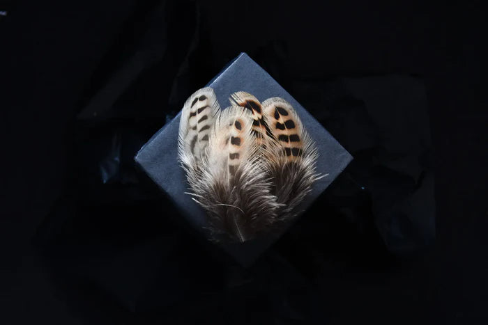 Brown and beige common pheasant feathers - 2 to 4 in