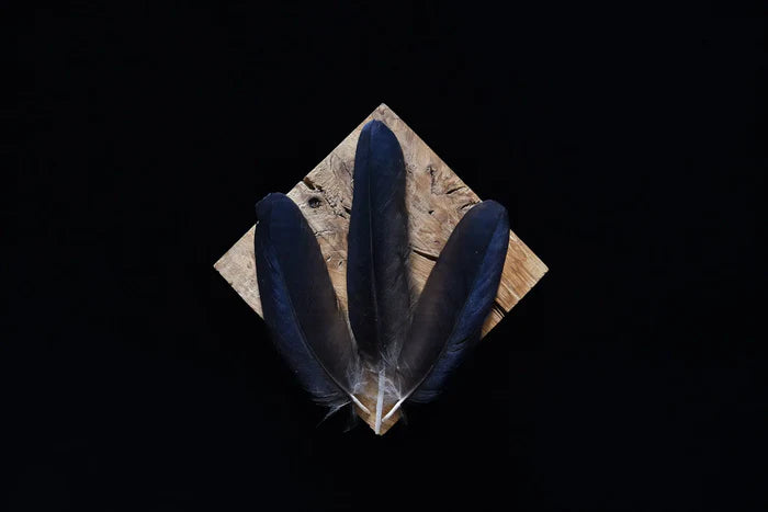 Crow feathers