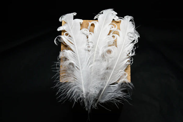 Curly white goose feathers