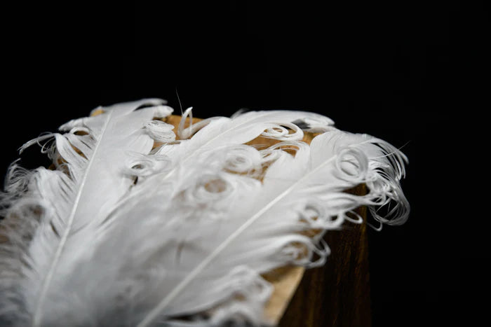 Curly white goose feathers