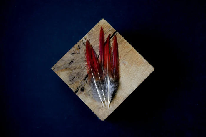 Golden red pheasant feathers - 4 to 5 in