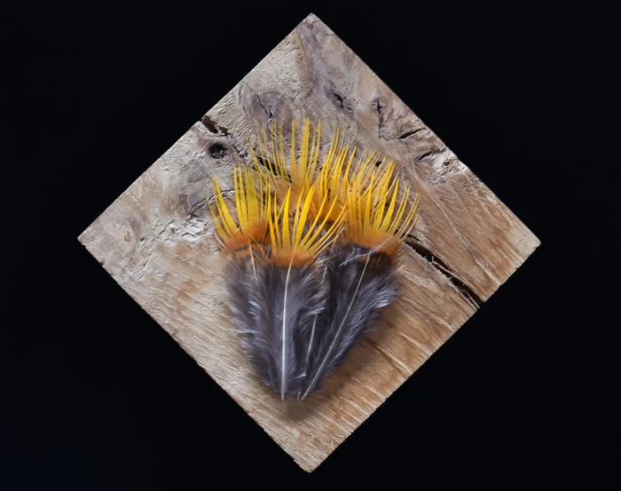 Golden yellow orange pheasant feathers