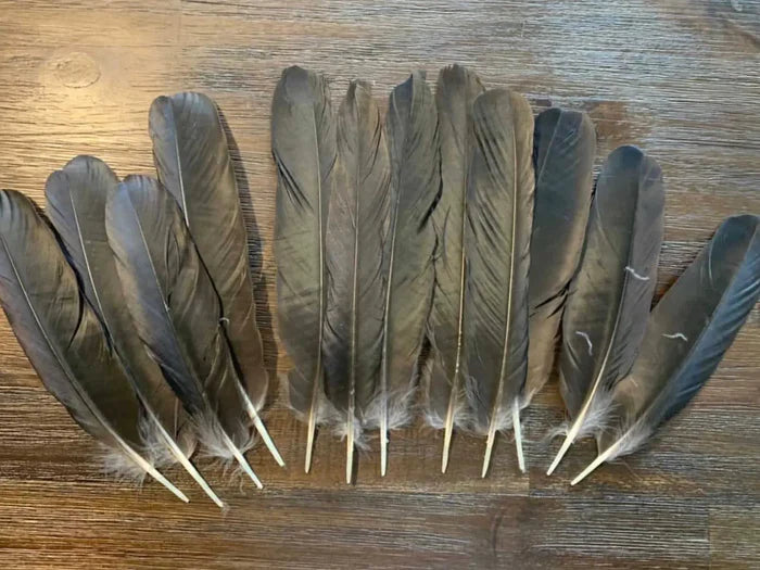 Large crow feathers