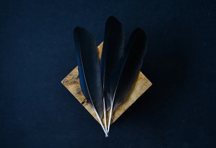 Large crow feathers