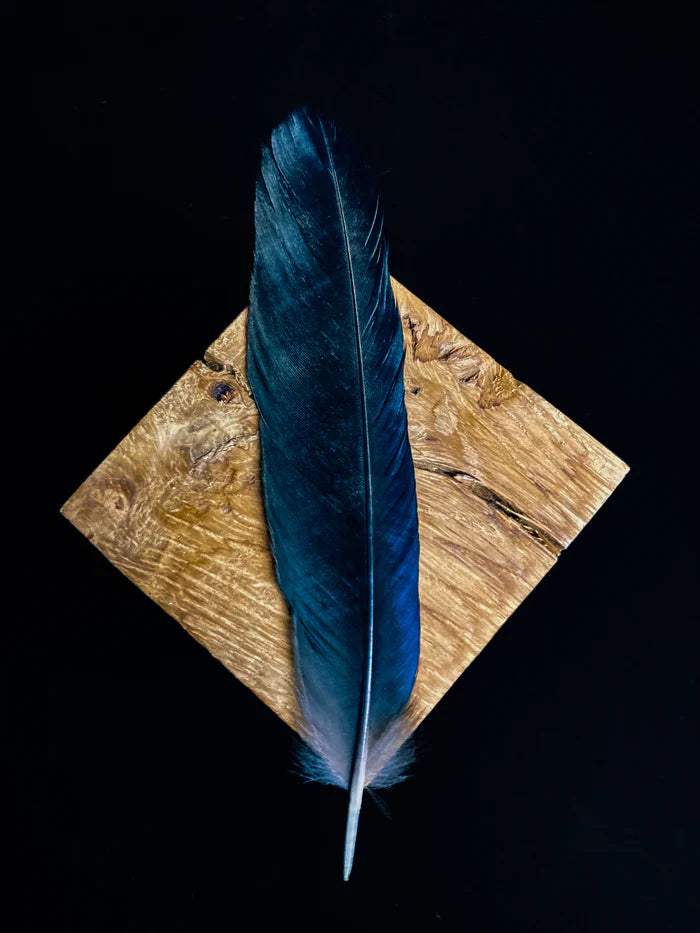 Medium crow feathers