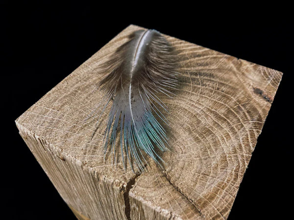 Natural green medium pheasant feathers