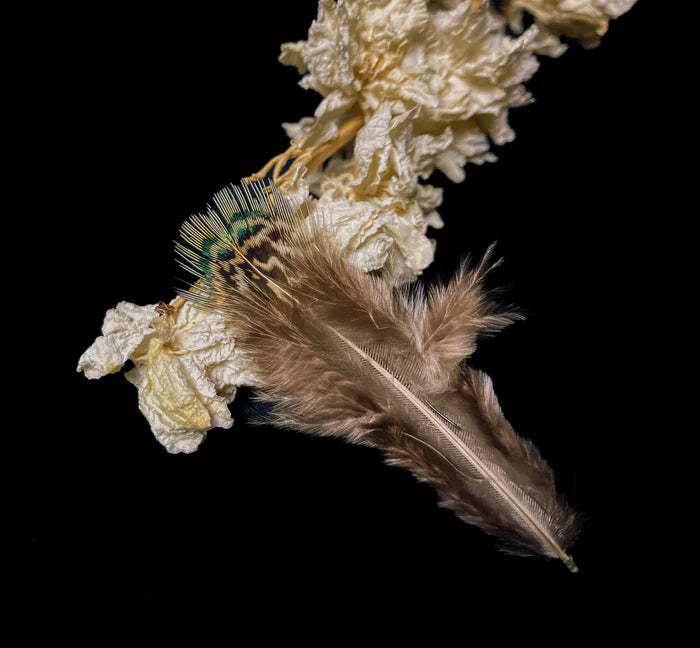 Natural green pheasant feathers