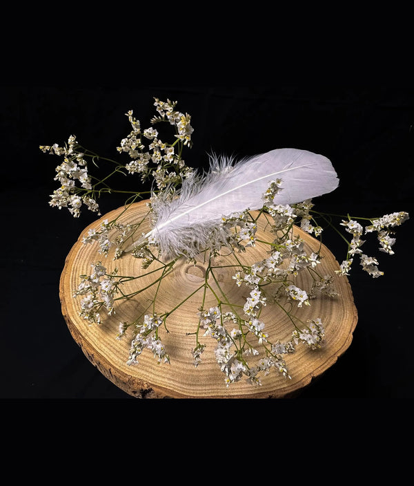 White Goose Feathers (5.5-7 inches)