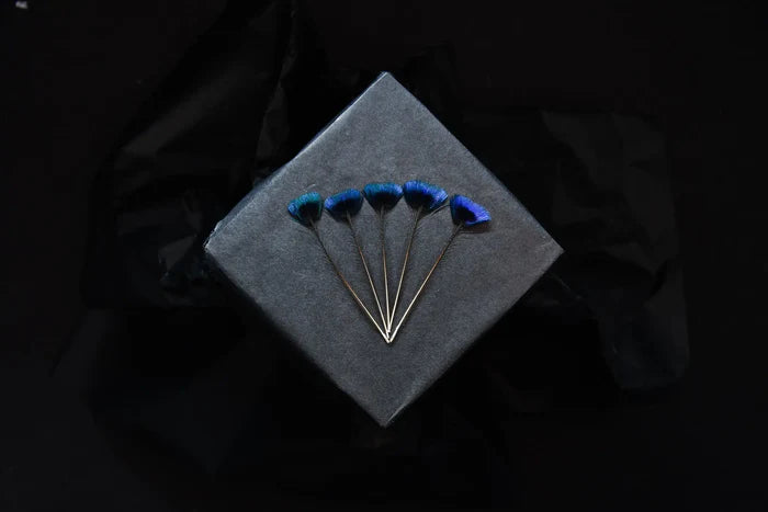 Rare small blue peacock head feathers