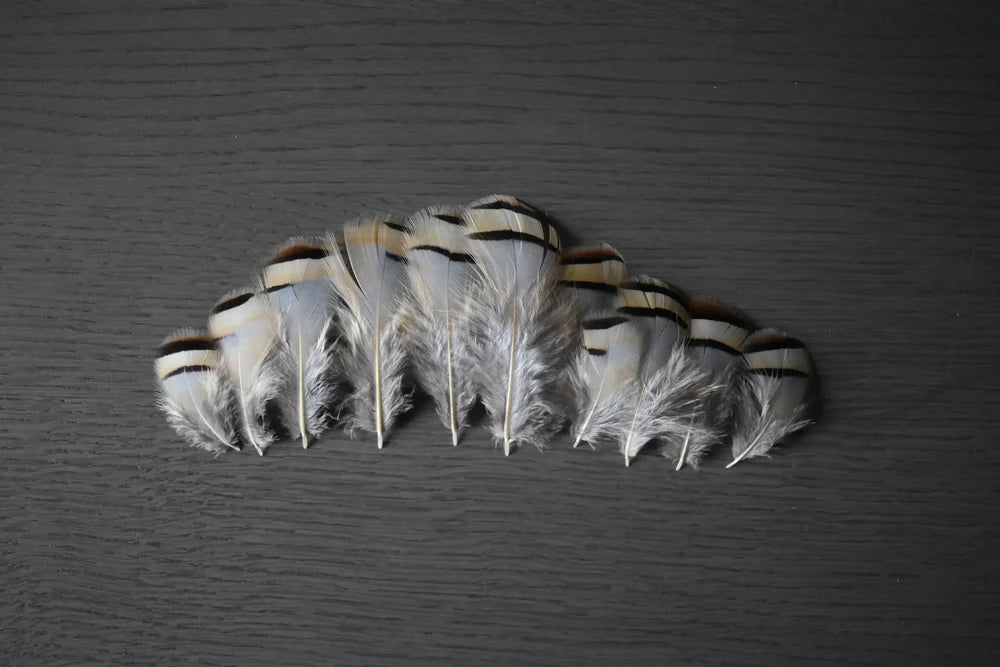 Red partridge feathers Authentic Feathers