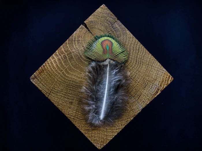 Small green and brown peacock feathers