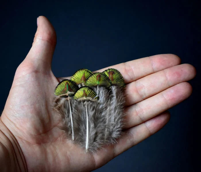 Small green peacock feathers