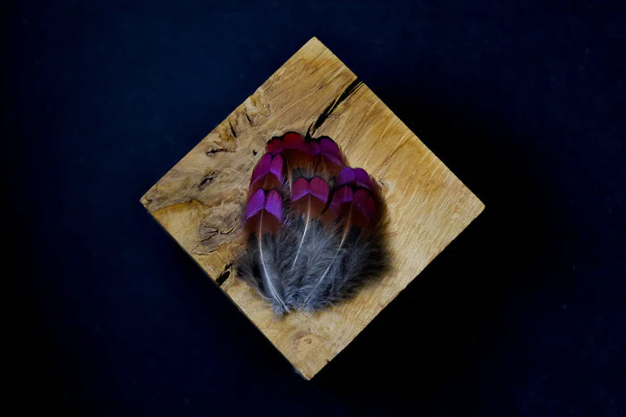 Small orange and gray pheasant feathers