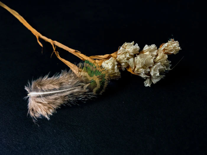 Small peacock feathers - 2.4 to 3.2 in