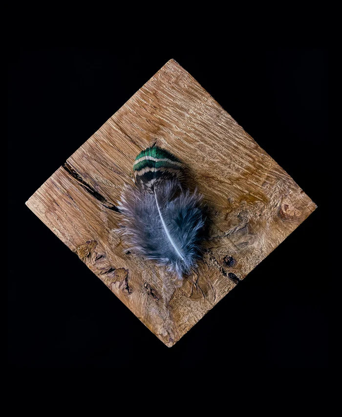 Small peacock feathers - 2.4 to 3.2 in