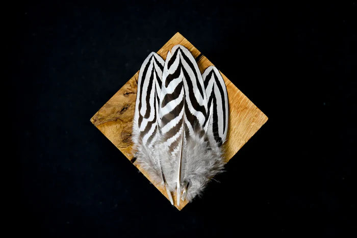 Small silver pheasant feathers - 2.4 to 4.8 in