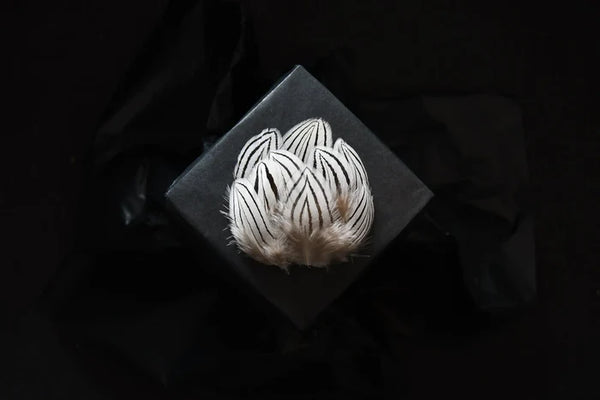 Small silver pheasant feathers - 1.2 to 2.4 in