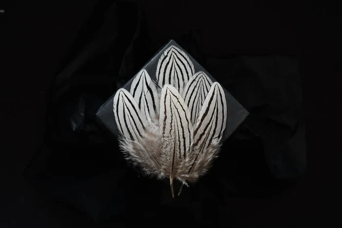 Small silver pheasant feathers - 2.4 to 4.8 in