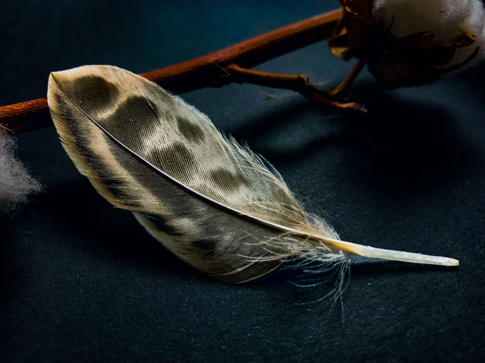 Speckled beige and brown duck feathers