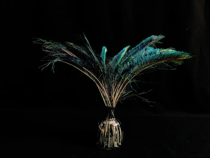 Sword peacock feathers blue-green