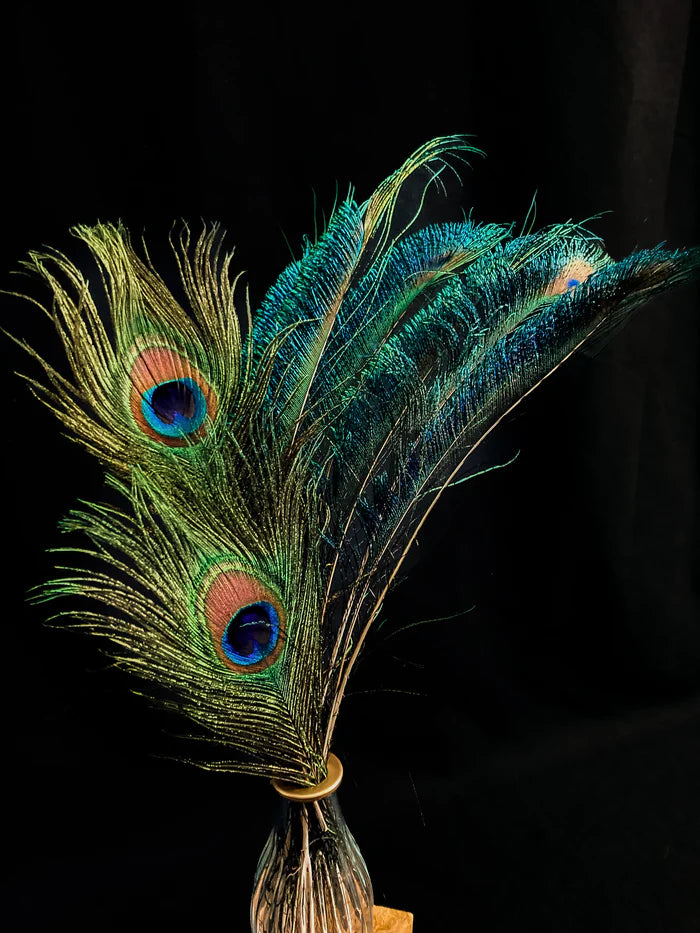 Sword peacock feathers blue-green