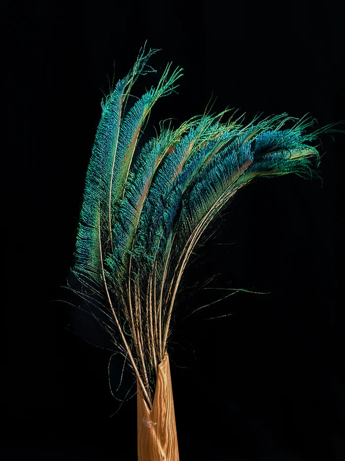 Sword peacock feathers blue-green