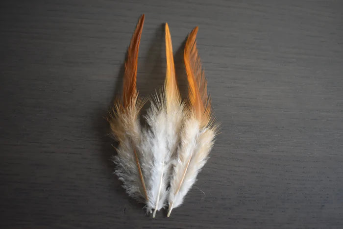 White and orange rooster feathers