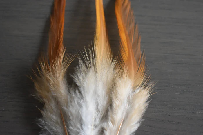 White and orange rooster feathers