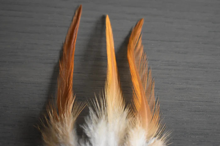 White and orange rooster feathers