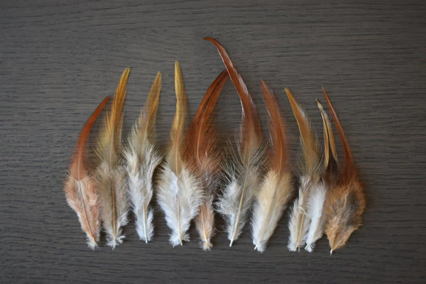 White and orange rooster feathers