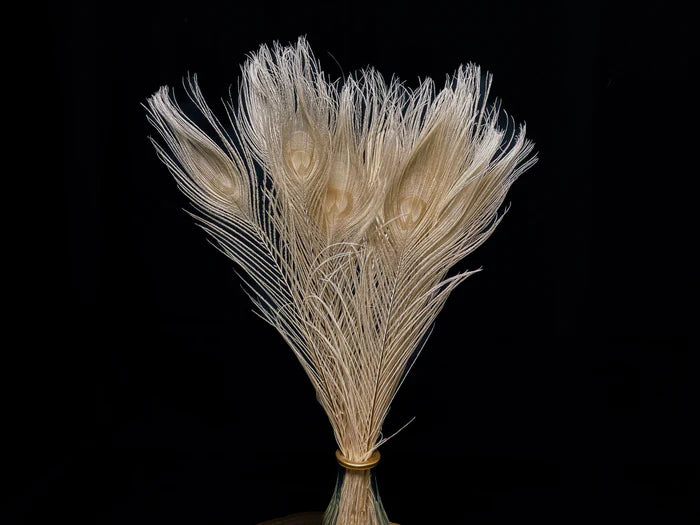 White peacock feathers - 16 in