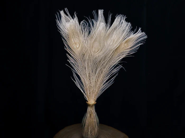 White peacock feathers - 16 in