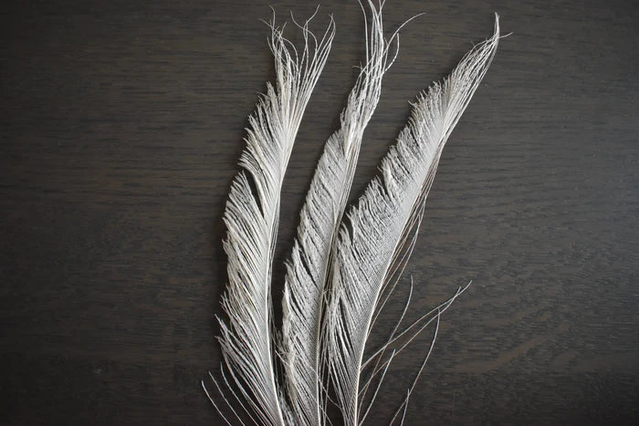 White peacock feathers - 8 in